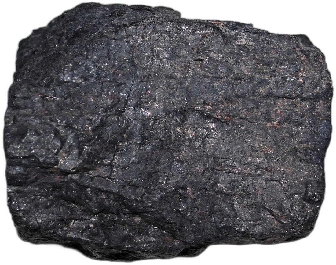 Bituminous coal specimen